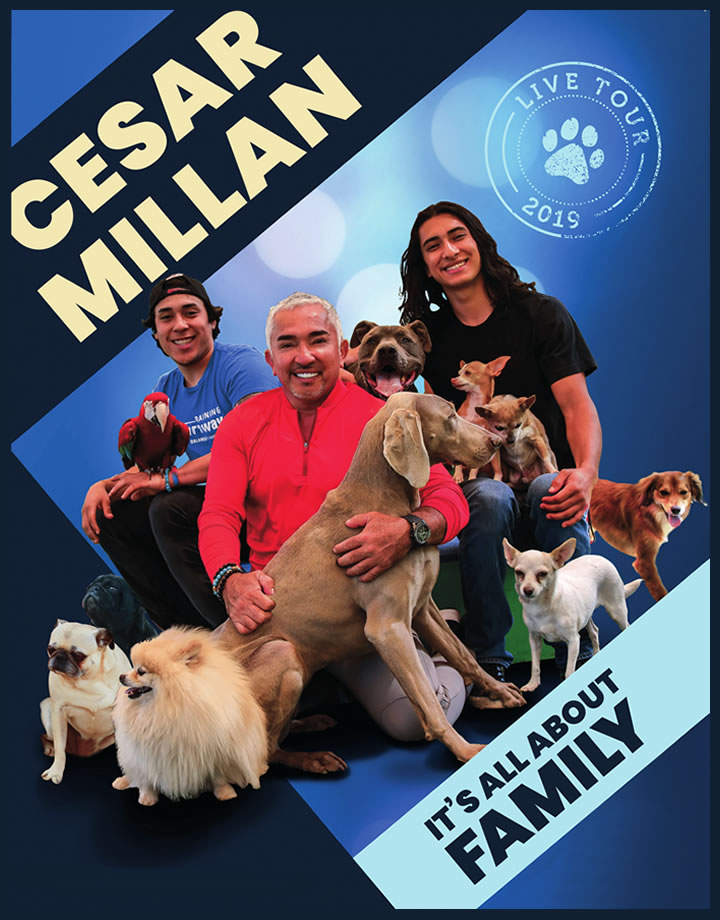 Cesar Millan Live 2019